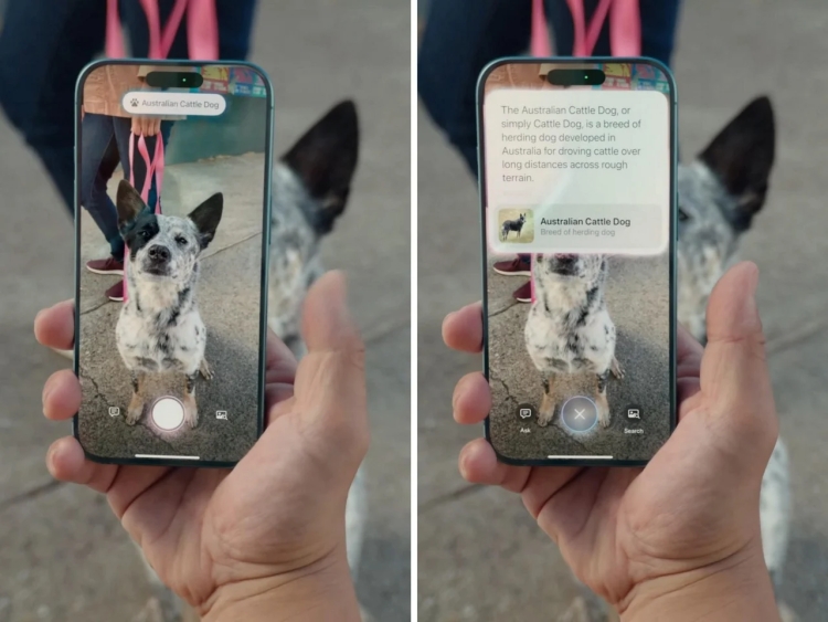 Apple’s Visual Intelligence A Built-In Take on Google Lens